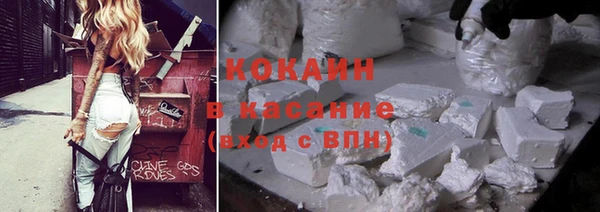 хмурый Арсеньев