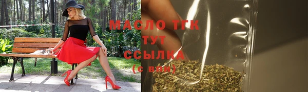 хмурый Арсеньев