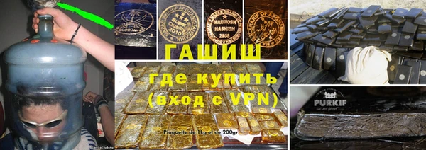 хмурый Арсеньев